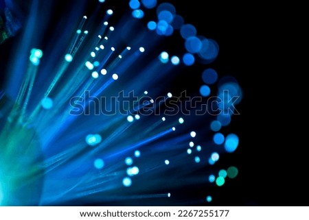 Color fiber optical background on black, Fiber optics lights abstract background, Closeup, fiber optics on defocused background. 