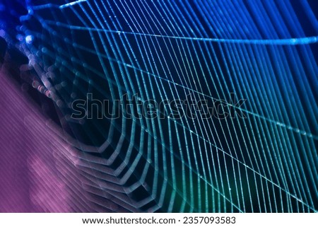 Similar – Image, Stock Photo shiny spider web with water droplets
