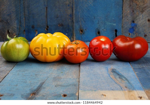 Color Gradient Tomatoes Row On Blue Stock Photo Edit Now 1184464942