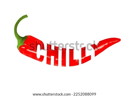 Color illustration of red chili pepper. Hot capsicum, red pepper for label design. One continuous line drawing with chili pepper lettering.