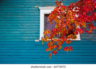 A Color Image Of A House With Blue Siding With A Window And A Tree Branch Coming Down Across Window. Leaves On Branch Are Full Of Autumn Leaves