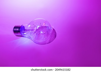 Color Light Bulb On Purple Background