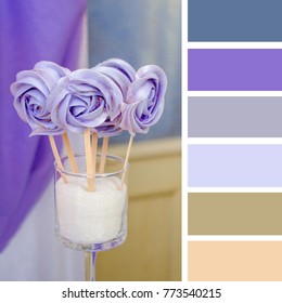 Color Matching Palette With Complimentary Colour Swatches. Ultra Violet Candy On A Stick Sweet Assorted.