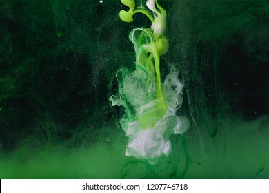 Color Paint Drops In Water. Ink Swirling Underwater. Cloud Of Silky Ink Collision On Black Background. Colorful Abstract Smoke Explosion Animation. Close Up Camera View.