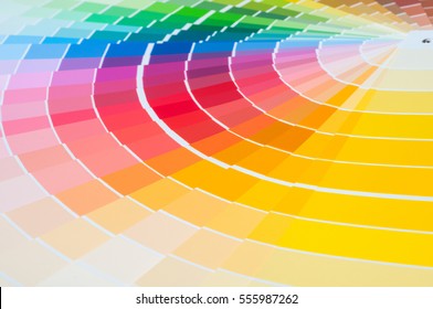 Color palette with various samples. Paint selection catalog, close-up