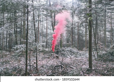 Color smoke in winter forest