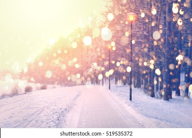 Color Snowflakes On Winter Park Background. Snowfall In Park. Bright Winter Sunset. Beautiful Christmas Theme.