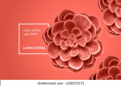 Color of the year 2019 Living Coral . Succulent background
