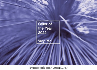 Color of the year 2022 Very Peri. Sample of defocused tree leaves pattern with frame. Trendy purple bokeh texture background - Shutterstock ID 2088119737