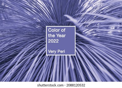 Color of the year 2022 Very Peri. Sample of defocused tree leaves pattern with frame. Trendy purple bokeh texture background - Shutterstock ID 2088120532