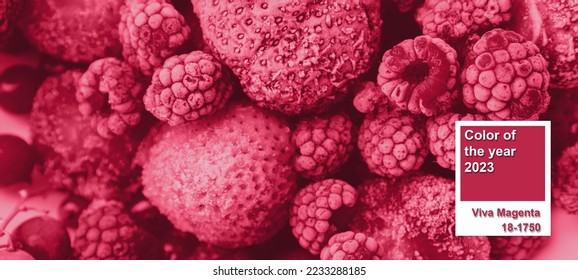 Color of the Year 2023 Viva Magenta. Red frozen berries covered with frost. Raspberries, strawberries, red currants - Shutterstock ID 2233288185