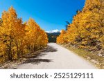 A Colorado Mountain Road Trip, The Fall Journey at Boreas Pass, Snow-Capped Mountains and Golden Foliage