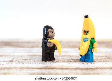 Colorado, USA - May 17, 2017: Studio Shot Of Lego Minifigure Banana Guy And Gorilla Suit Guy With Banana.