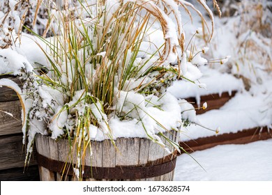 Colorado Wooden Flowerpot Green Plant Landscaping Covered In Winter Snow With Nobody Architecture Of Garden Backyard Of House