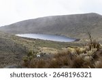 Colorados lake from a viewpoint inside colombian sumapaz paramo park with cloudy mountains at background