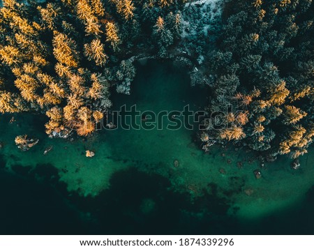 Colored autumn trees from a bird's eye view, from above, drone image, forest from above at a lake in the Alps, sunrise, Hintersee, Germany