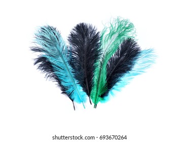 37,895 Carnival feather background Images, Stock Photos & Vectors