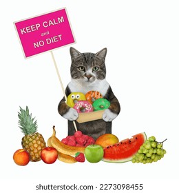 A colored cat with a box of donuts is near a heap of fruit. Keep calm and no diet. White background. Isolated. - Shutterstock ID 2273098455