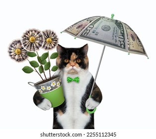A colored cat holds a money tree and an umbrella. White background. Isolated. - Shutterstock ID 2255112345