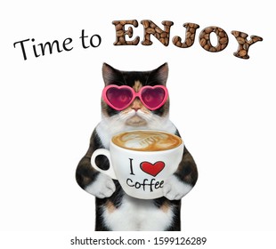 The colored cat in pink sunglasses is holding a big cup of coffee latte. Time to enjoy. White background. Isolated. - Powered by Shutterstock