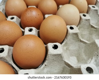 Colored Chicken Eggs On A Brown Paper Plate