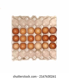 Colored Chicken Eggs On A Brown Paper Plate