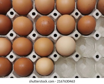 Colored Chicken Eggs On A Brown Paper Plate