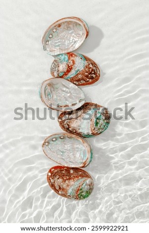 Colored closeup shells floating on waves clear white sea water at sunlight. Beauty nature textured Seashells, marine life, nautical style, Minimal summer aesthetic, beach lifestyle, soft pastel color