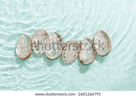 Colored closeup shells floating on waves green blue sea water at sunlight. Beauty nature textured  Seashells, marine life, nautical style, Minimal summer aesthetic, beach lifestyle, soft pastel color