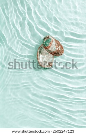 Colored closeup shells floating on waves green blue sea water at sunlight. Beauty nature textured  Seashells, marine life, nautical style, Minimal summer aesthetic, beach lifestyle, soft pastel color