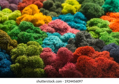 Colored Designer Decorative Moss Macro