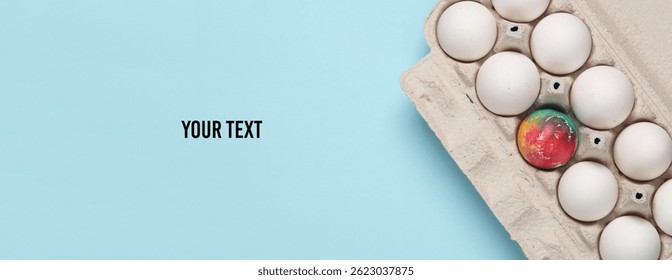Colored Easter egg among white chicken eggs in a tray, blue background. Space for your text