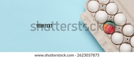 Colored Easter egg among white chicken eggs in a tray, blue background. Space for your text
