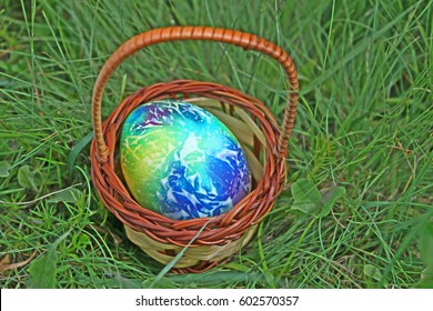 Colored easter egg in basket on green grass