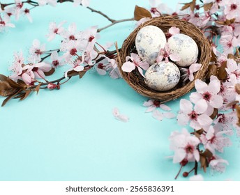 Colored easter eggs in a bird nest, pink cherry blossoms, holiday greeting card, spring season background 