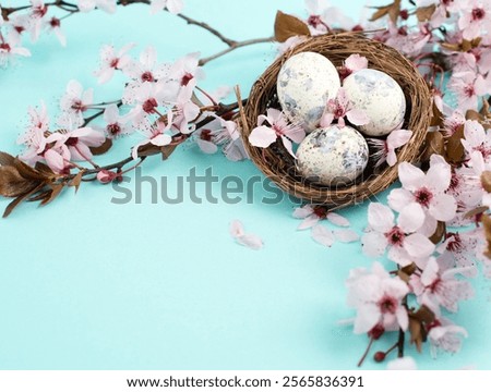 Colored easter eggs in a bird nest, pink cherry blossoms, holiday greeting card, spring season background 