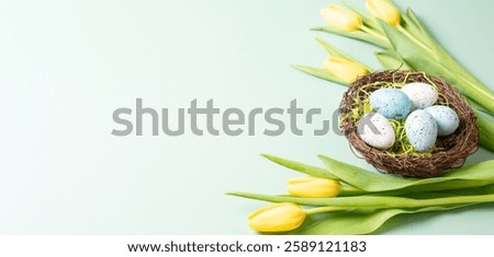 Colored easter eggs in a bird wicker nest, yellow tulip flowers, holiday greeting card, spring season background 