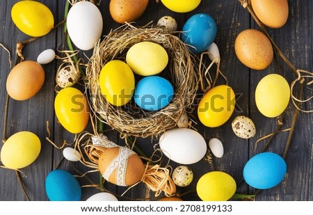 Colored Easter eggs blue yellow in eggs nest background, poster, banner, layout space for text, advertising, web, social media. Happy Easter card flyer, template card frame typography design 
