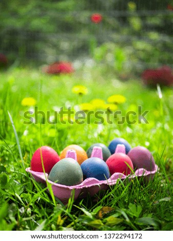 Similar – Easter eggs in a garden