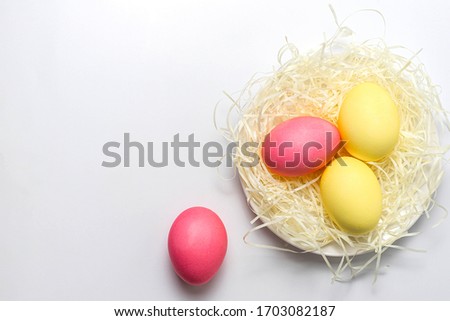 Colored Easter eggs in nest isolated on white background. Happy Easter card, copy space