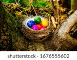 colored easter eggs in a nest in nature