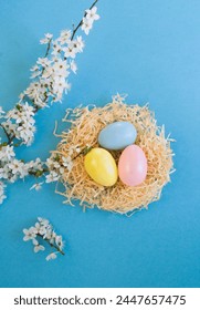 Colored easter eggs in a nest of straw and white flowering tree branches on the blue background. Top view.