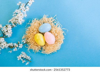 Colored easter eggs in a nest of straw and white flowering tree branches on the blue background. Top view. Copy space.