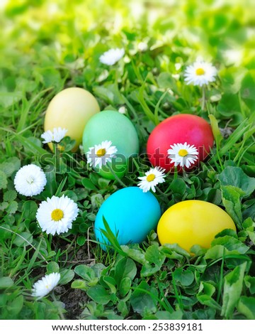 Similar – Easter eggs in a garden