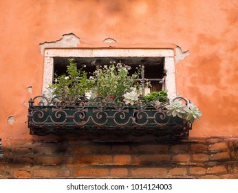 Colored Facade in Venice