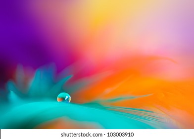 colored feathers with drop background