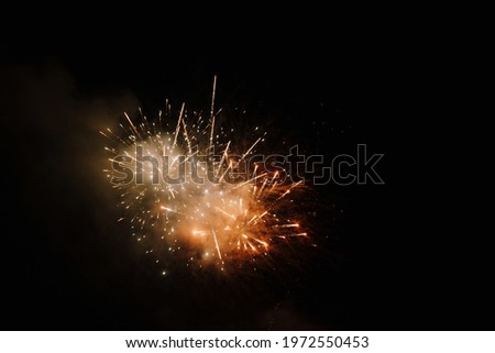 Colored fireworks explode in the dark night sky