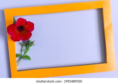 A Colored Frame Decorated With A Large Red Flower On A Light Background Of The Mine Space. Flat Lei Bright Orange Paper Frame And Red Floral Decor