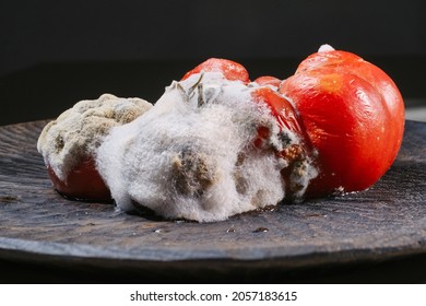Colored mold on vegetables. Moldy fungus on food. Fluffy spores mold as a background. Mold fungus. Shallow depth of field