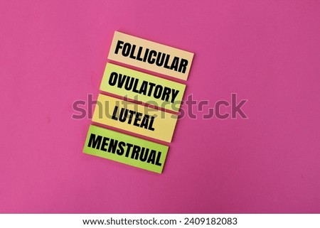 colored paper with the words phases of a woman's menstrual cycle FOLLICULAR, OVULATORY, LUTEAL and MENSTRUAL